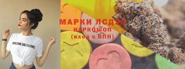 мяу мяу мука Аркадак