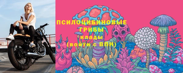 apvp Саяногорск