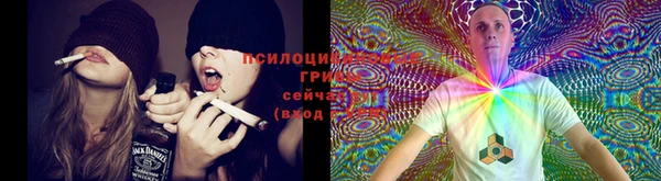 прущий лед Балабаново