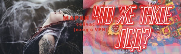 мяу мяу мука Арсеньев