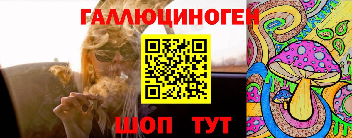 Нововоронеж  Псилоцибиновые грибы GOLDEN TEACHER  Вход с VPN  наркошоп  Псилоцибиновые грибы Cubensis 